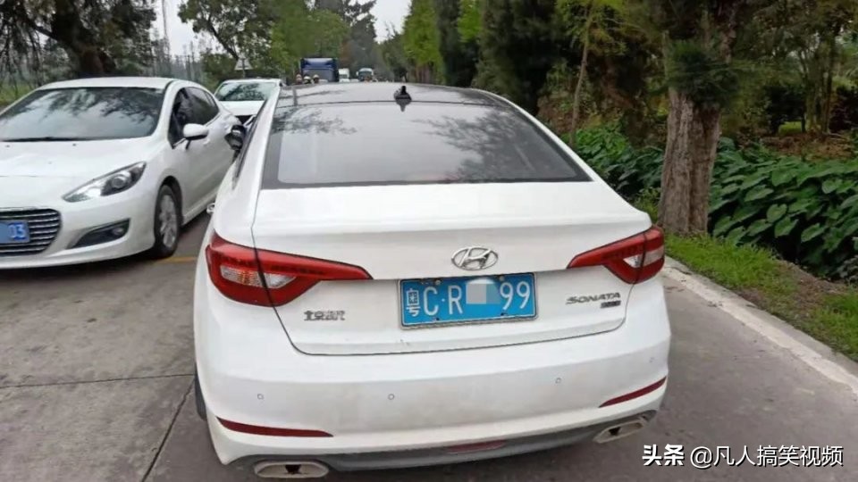 老司机开车躲避行人冲入池塘,老司机开5系