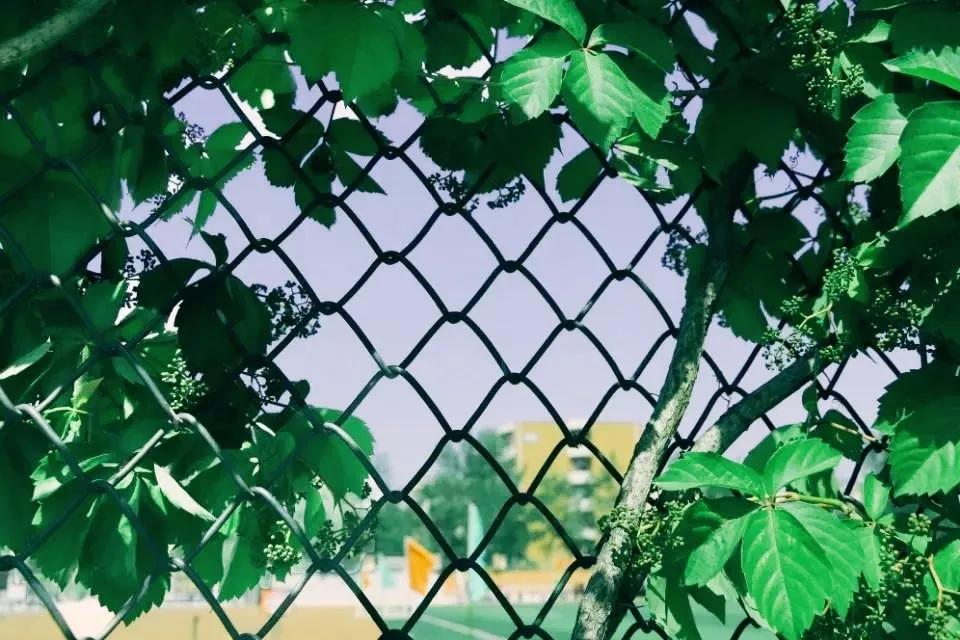 天津商业大学综合排名,天津商业大学真实排名