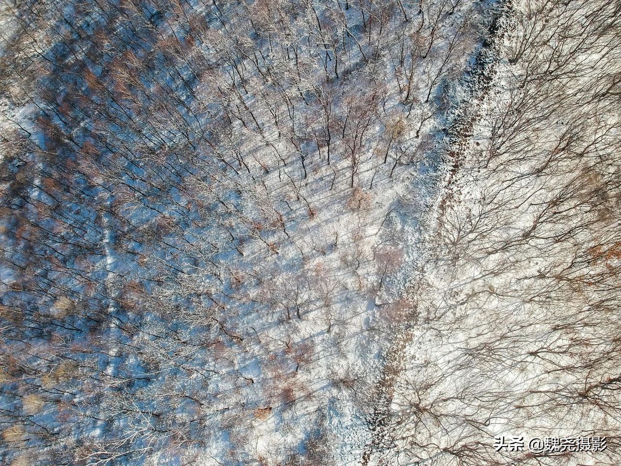 雪+雾凇+侧金盏+款冬=一次完美寻花之旅