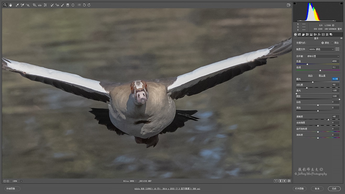尼康nikond850拍摄视频,摄影器材篇尼康d850