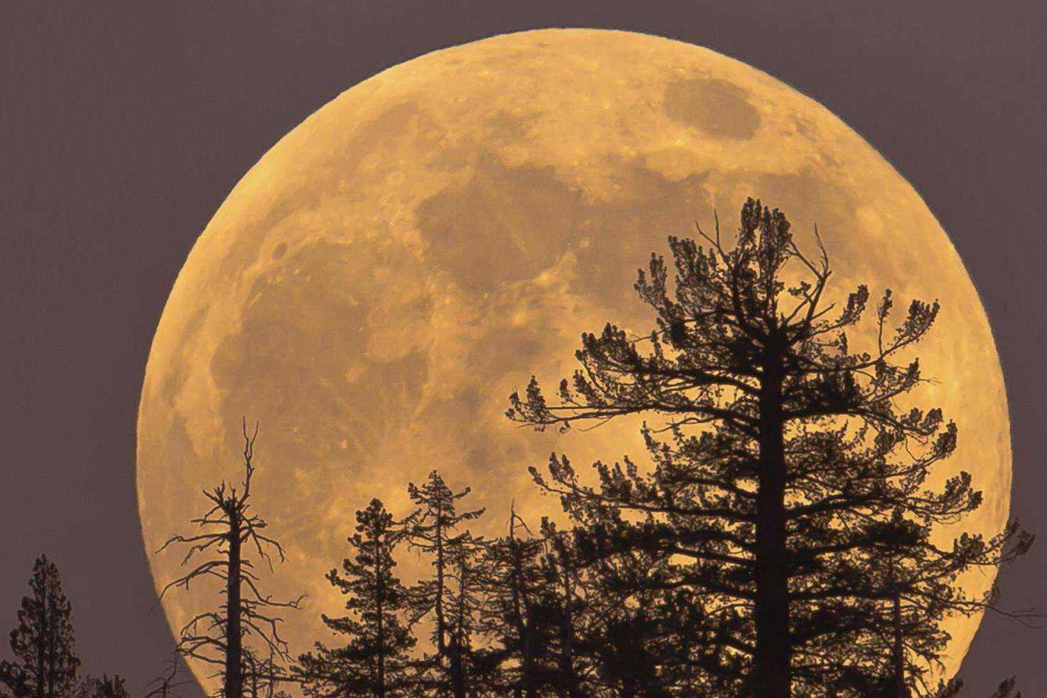 最美中秋古诗句！看完别再说，我去，今晚的月亮好美呀（收藏）