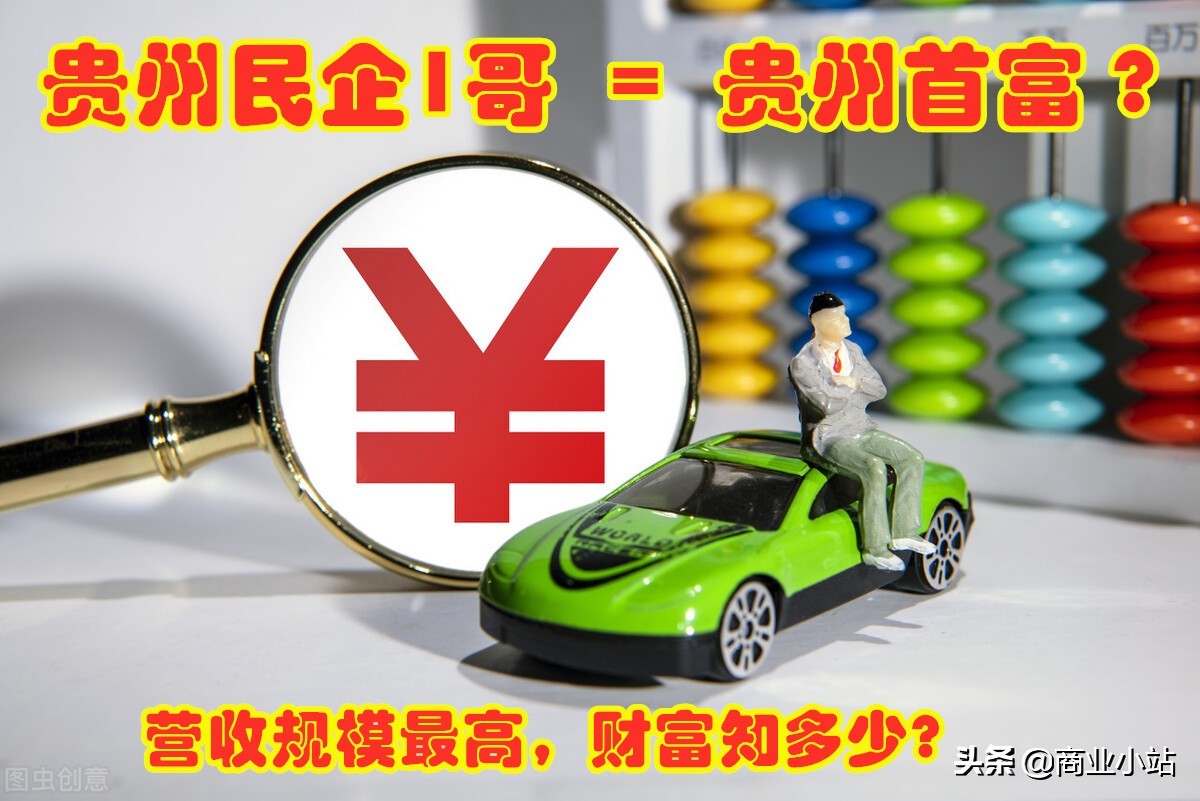 贵州500强通源集团,贵州民营企业第一名