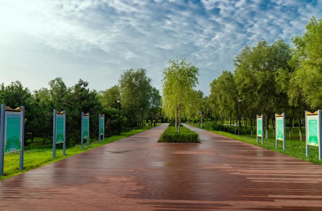 顺义公园健康步道效果图,顺义公园健康步道翻新