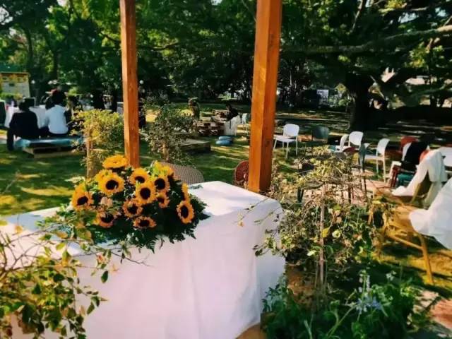 深圳溪涌黄金度假海滩,深圳溪涌度假村房子