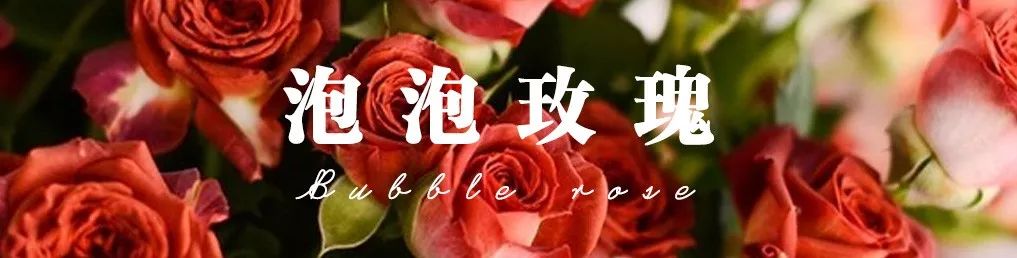 花店必备的5款玫瑰,花店常用的10款玫瑰花是哪些品种