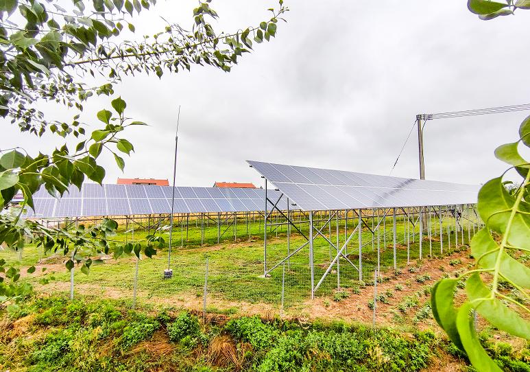 鑿忔辰鎴愭澶╁闀囩繜妤兼潙,鎴愭鍘跨繜妤兼潙