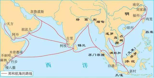 小小豆芽菜，是郑和船队战胜败血症的大功臣