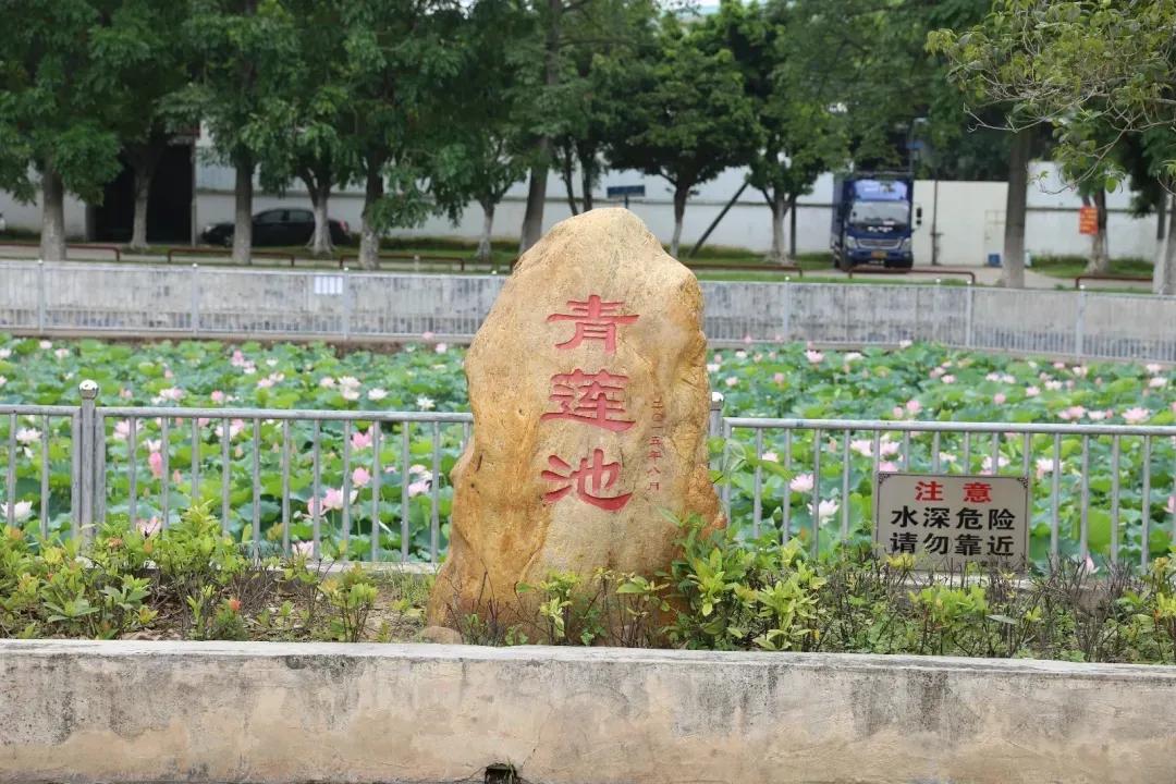 宜居、宜业、宜游......番禺，来过的都说好！