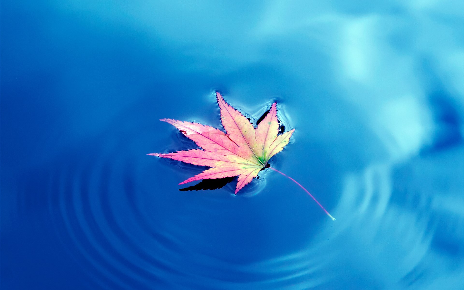 你有最好的朋友吗,你有最好的朋友吗用英语怎么说