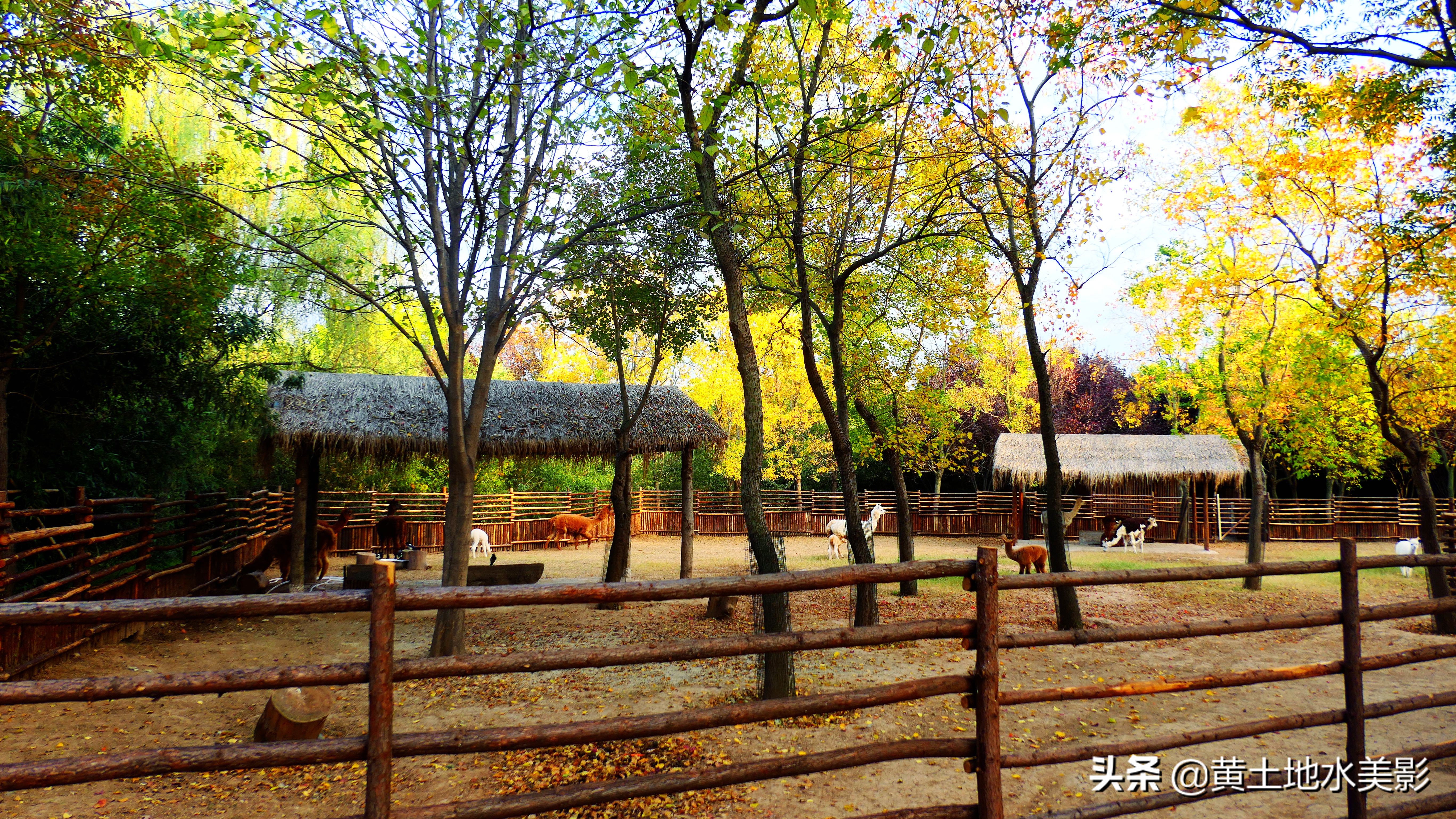 占地590亩的湿地公园,野生动物比较多的旅游景区