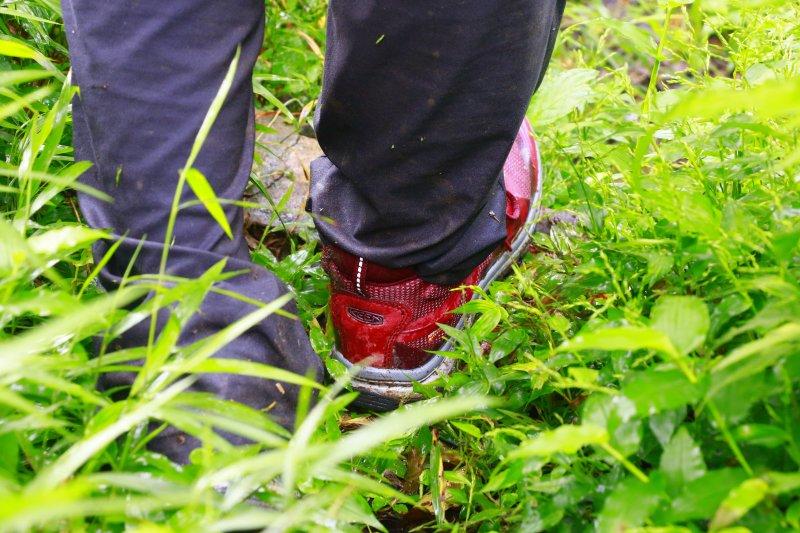 keen户外鞋1000元的,keen户外鞋怎么鉴别