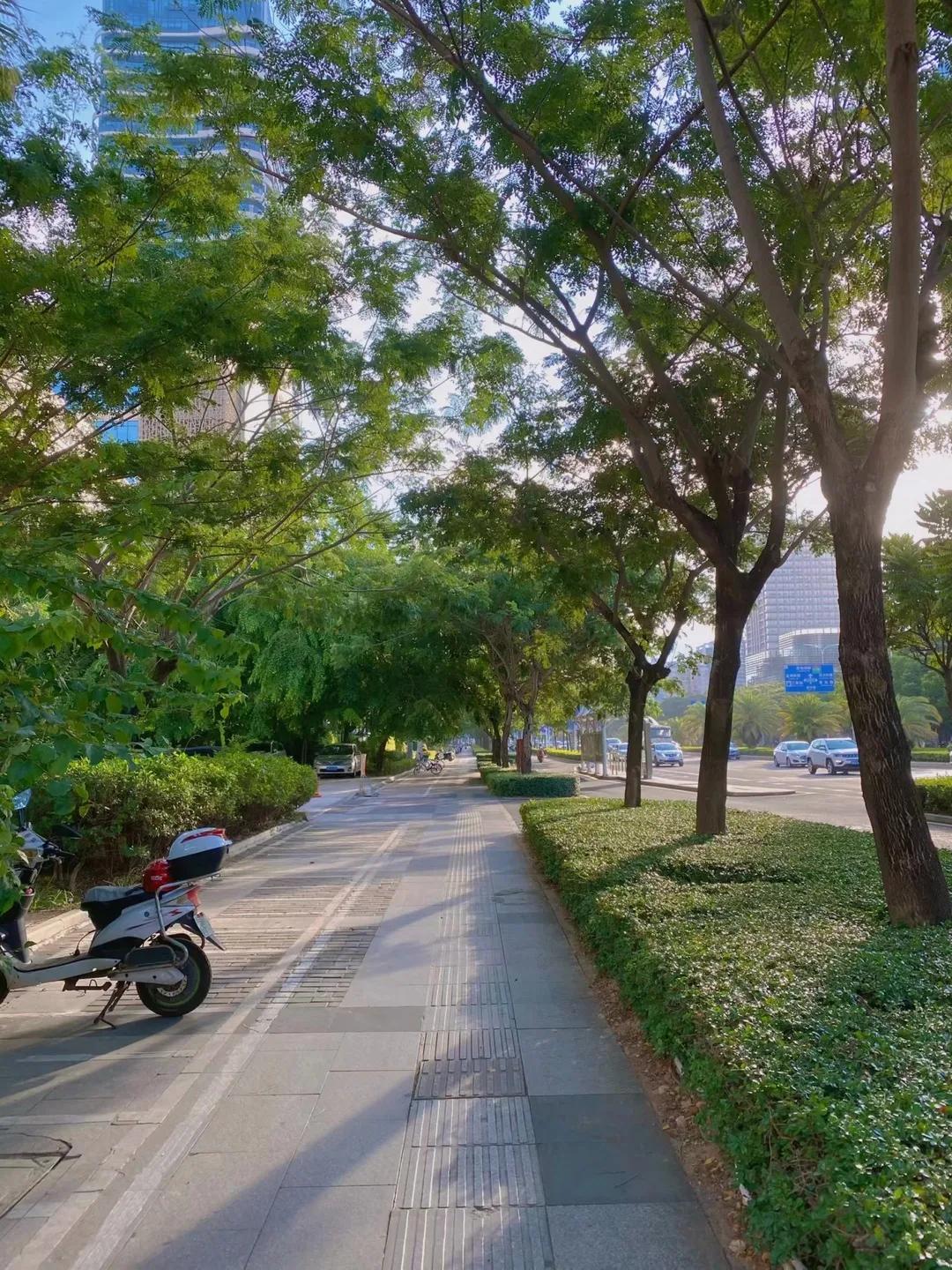 一张图看懂三亚,带你看小三亚风景