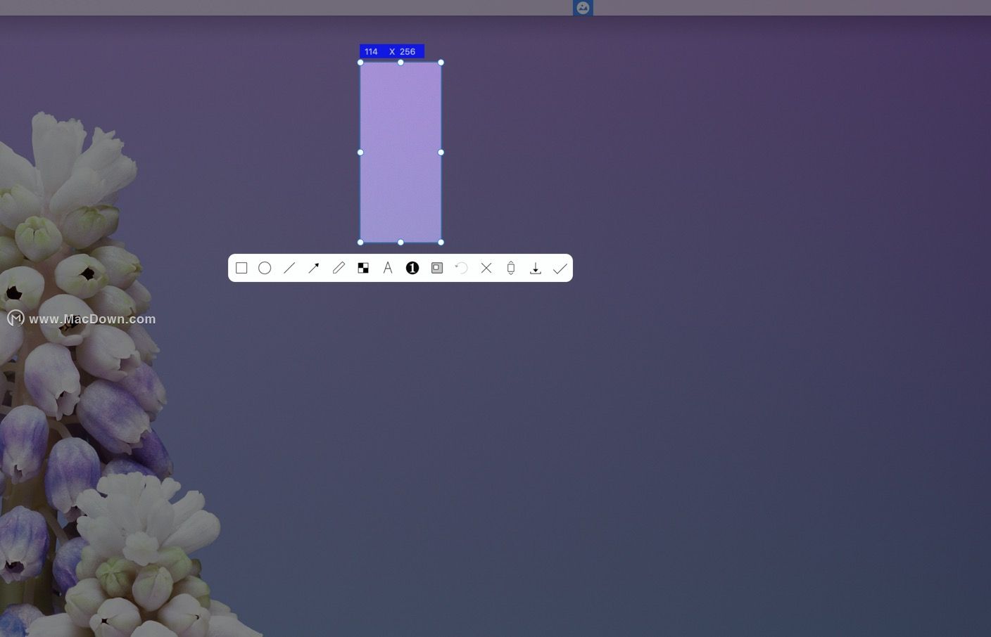 免费截图工具iShotforMacv1.5.3