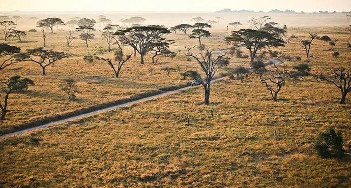 坦桑尼亚之旅,坦桑尼亚东非草原