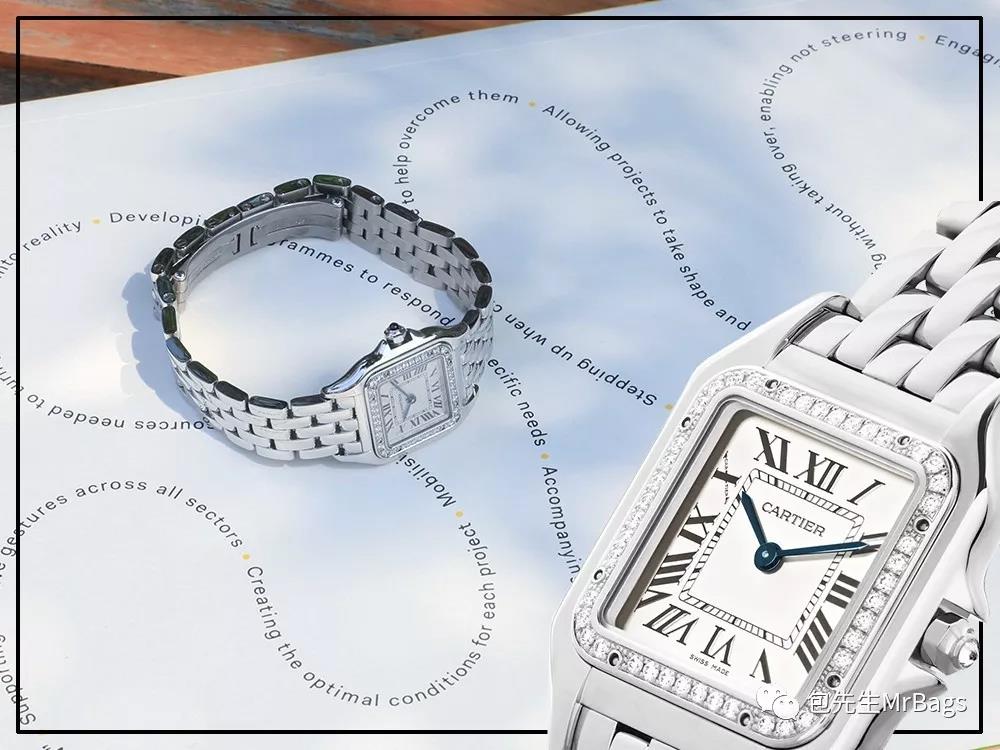 戴安娜腕表,戴安娜戴两支表