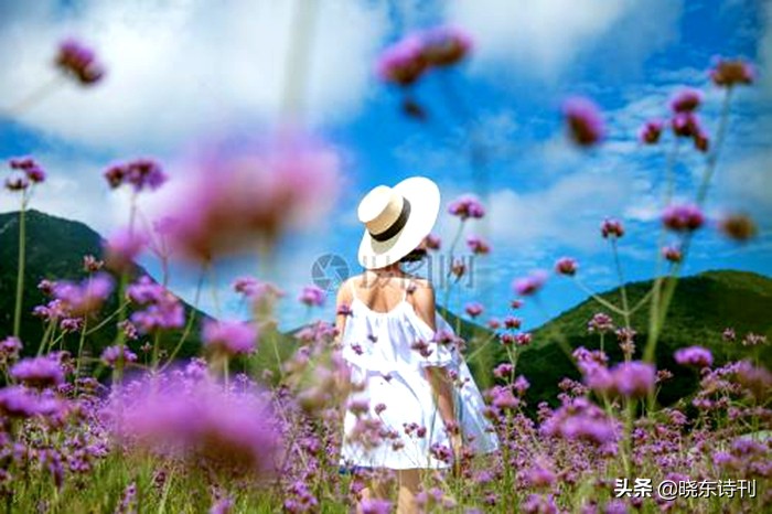 「黎明拾穗」43期诗词41首,首页篇篇造网红,风流戏子逞英雄