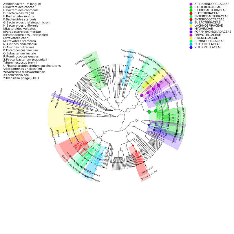 肠道菌群宏基因组,肠道微生物宏基因组检测有必要吗