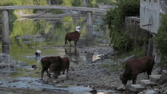 疫情解封后报复性消费的行业,疫情之后会出现消费狂潮么