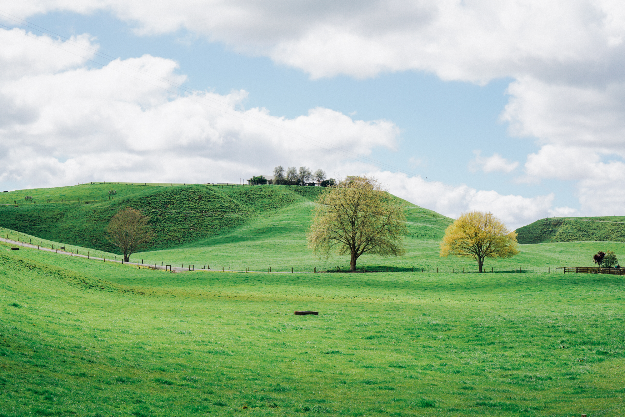 为什么说新西兰是纯净的,新西兰北岛有值得去的地方吗