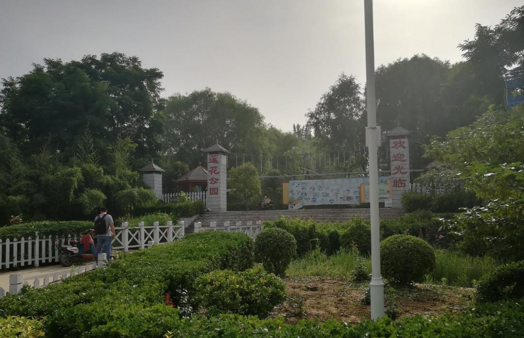 映日荷花别样红湖中美景,莲叶无穷碧映日荷花别样红美景