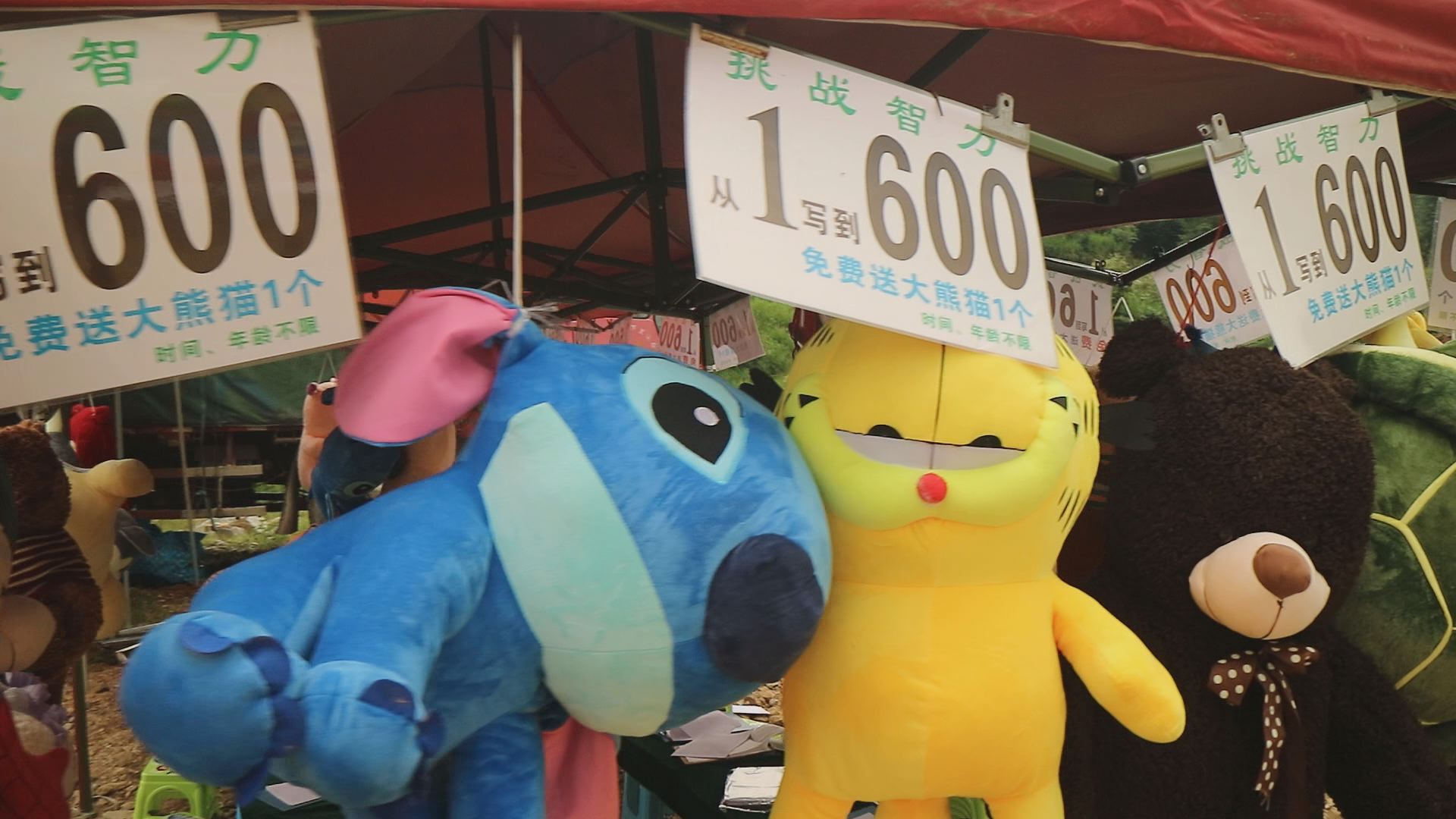 羊安杨梅节直播,羊安杨梅采摘