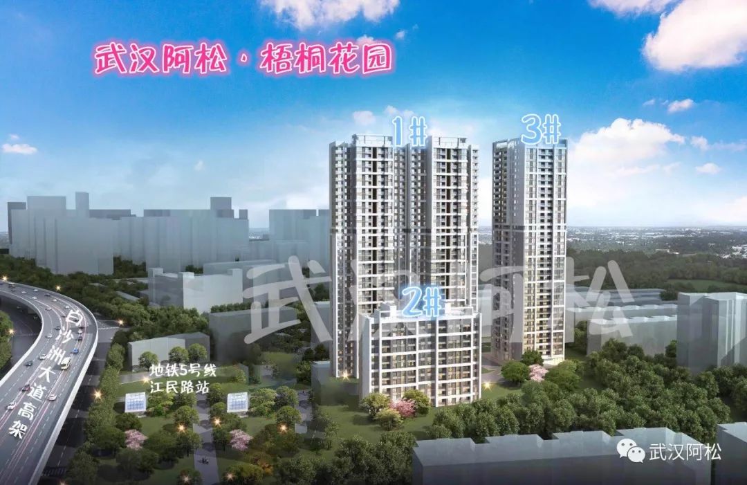 白沙洲新楼盘排行榜2020,白沙洲最火盘