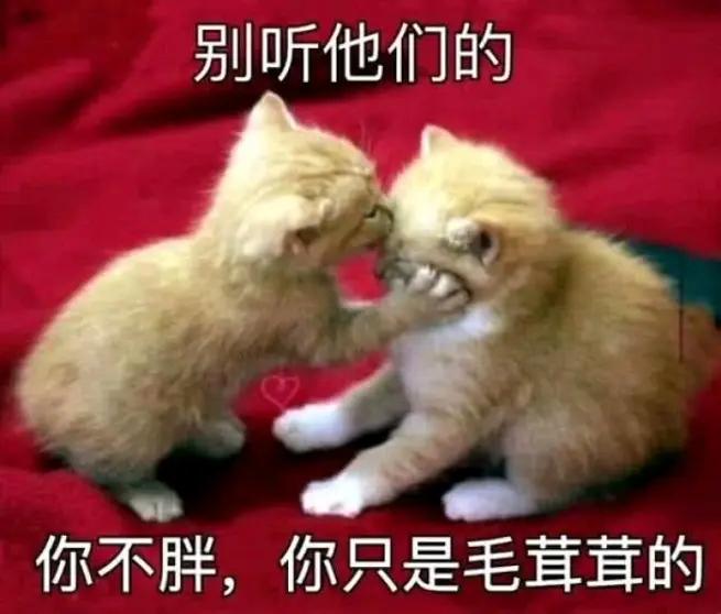 最暖心的套路撩人情话,2020最暖套路撩人情话