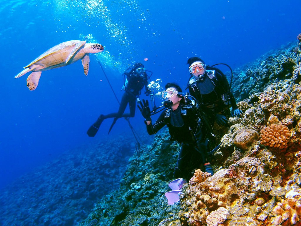 被蓝鲸吞进肚子里会发生什么,座头鲸误吞潜水员