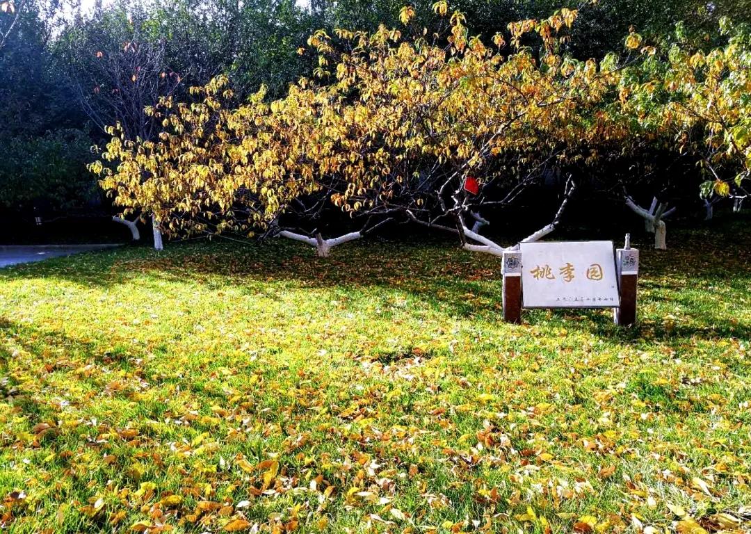 重庆南开中学在全国排名,南开中学很有名吗