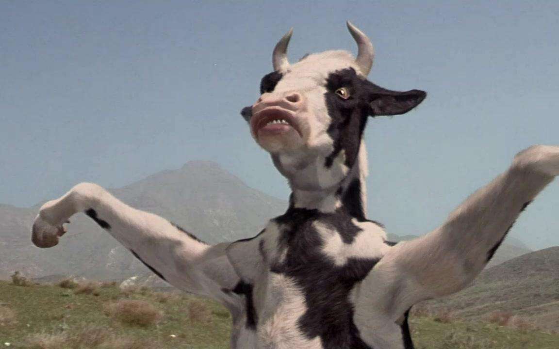 给牛身上开洞,牛身上的洞是怎样开的