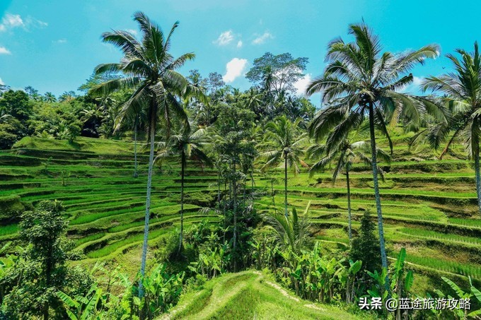 巴厘岛闺蜜游,闺蜜巴厘岛spa