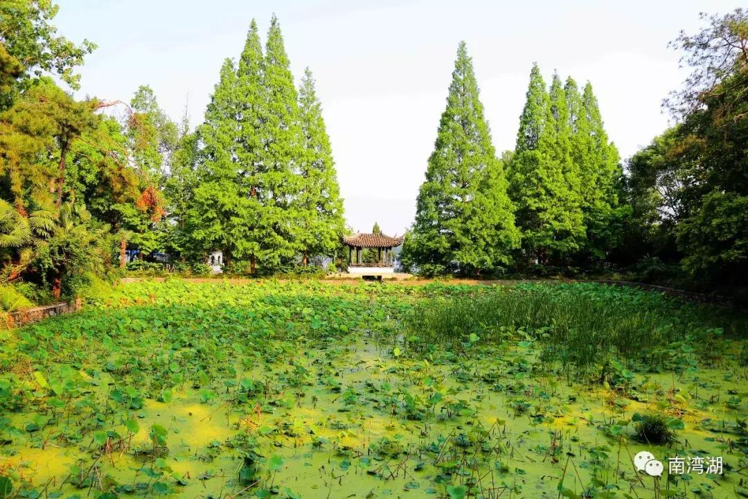 信阳十一假期旅游推荐,信阳南湾湖旅游攻略图