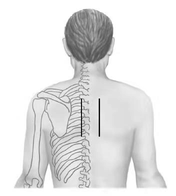 简单易学实用的保健方法,保健神奇的秘方