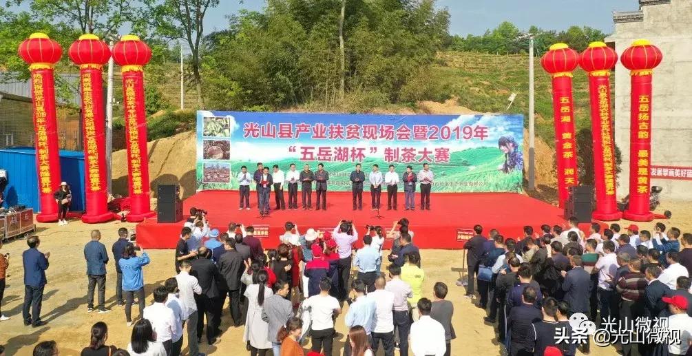 光山斗茶大赛完整版,信阳斗茶大赛获奖