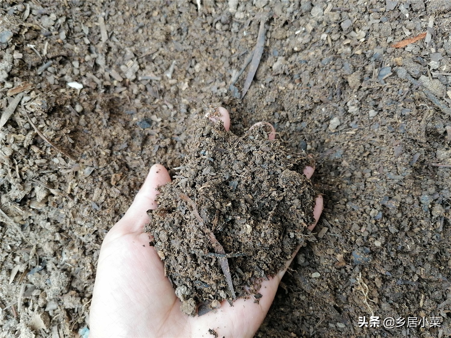 怎样让菜地土质松软,怎样才能把菜地的土壤弄得很松软