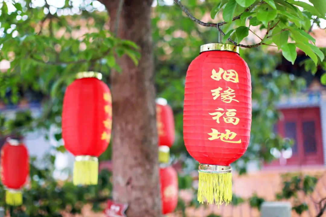 超灵验的姻缘福地!离广州深圳不到一小时,踏青赏花祈福康养首选