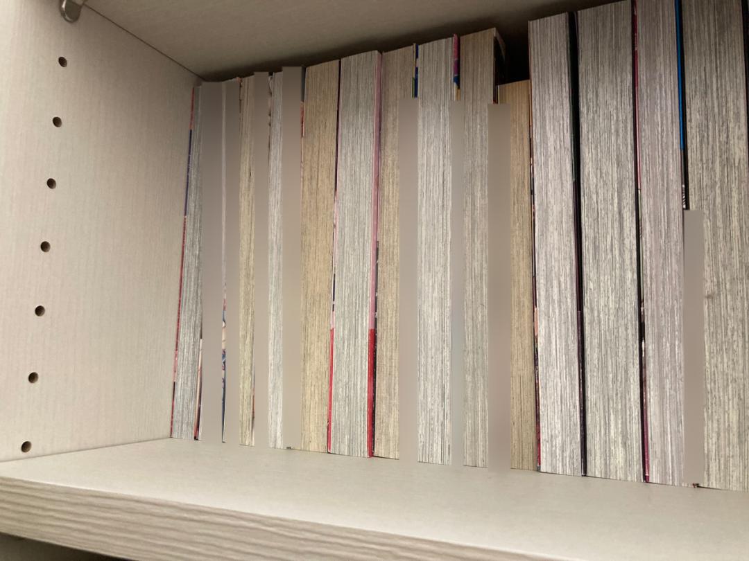 本子画师星月めろん被儿子宣传意外走红，妈妈表示这仅仅只是职业