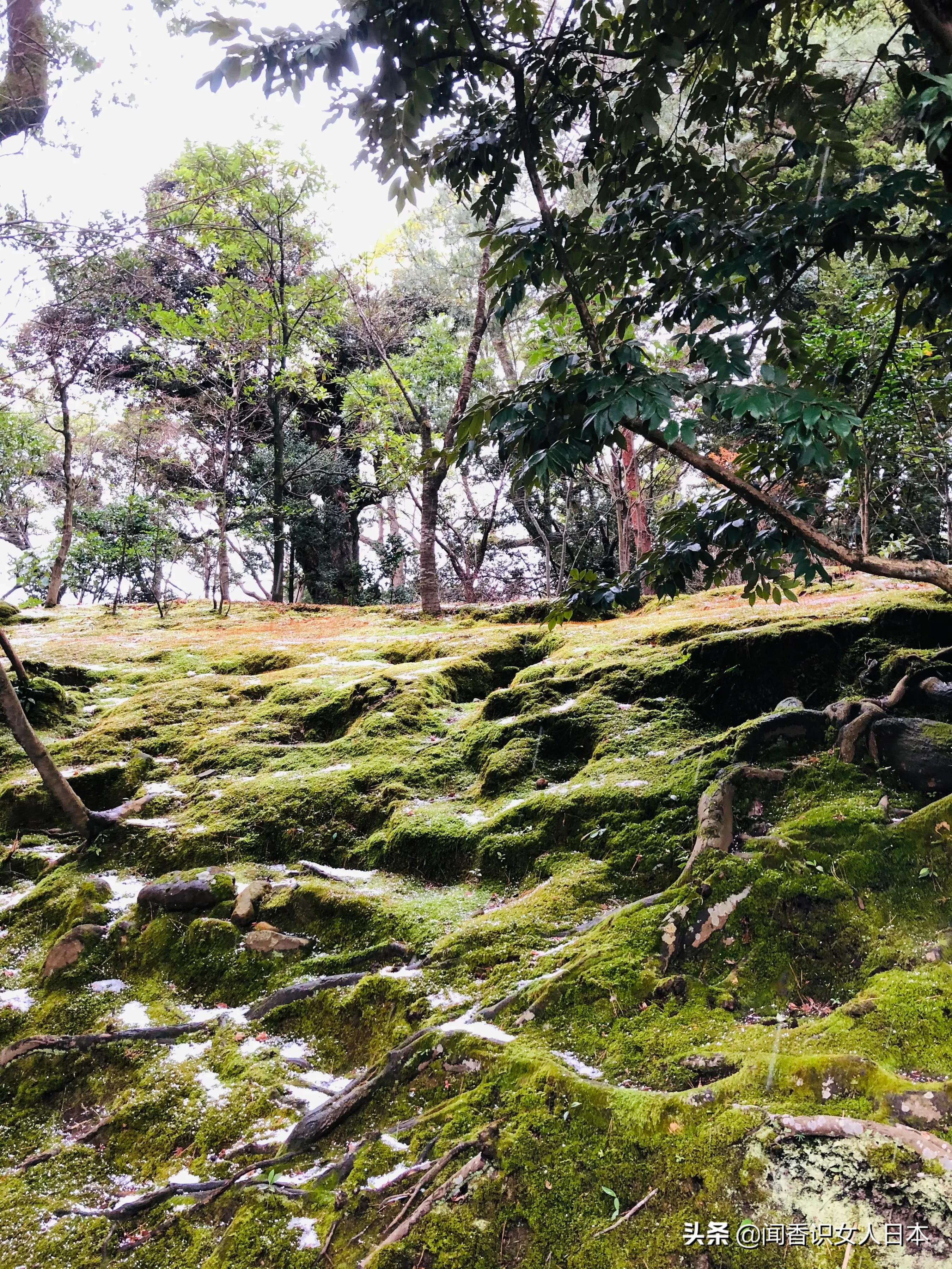日本三大园林,日本三大名园之一