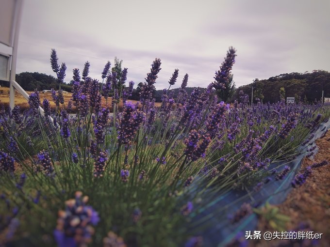 澳大利亚东南自驾游攻略,澳大利亚长途穿越自驾游