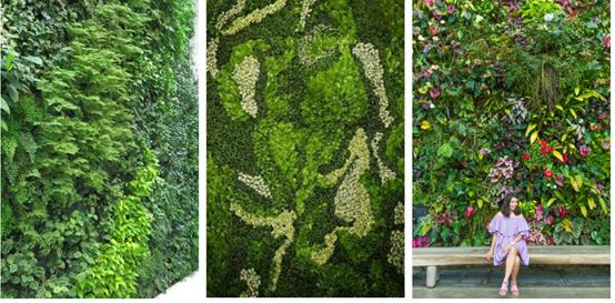 杭州印力汇德隆奥体,印力汇德隆奥体印象城图