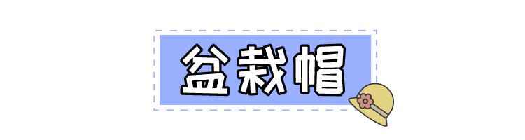 适合冬天戴的遮阳帽子,怎么戴夏天防晒帽子好看