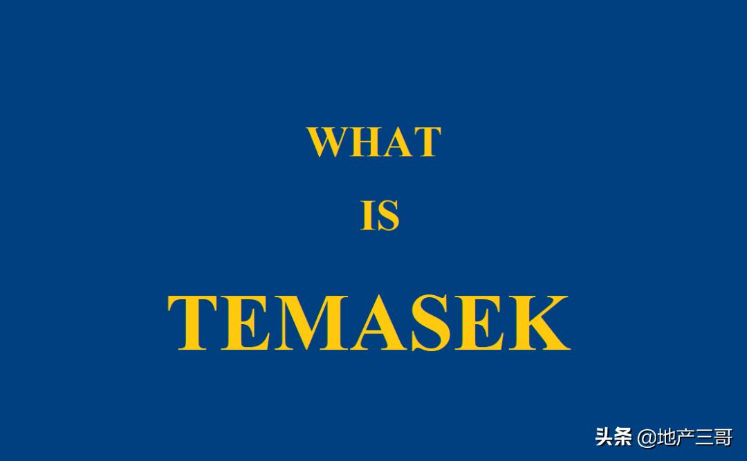 淡马锡模式到底是什么意思,淡马锡治理