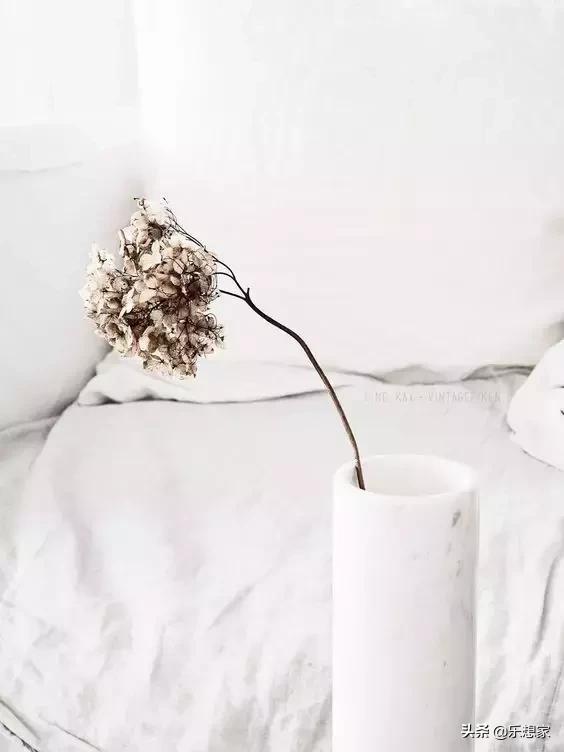 素言想要什么就要自己争取,素言为什么这么容易被感动