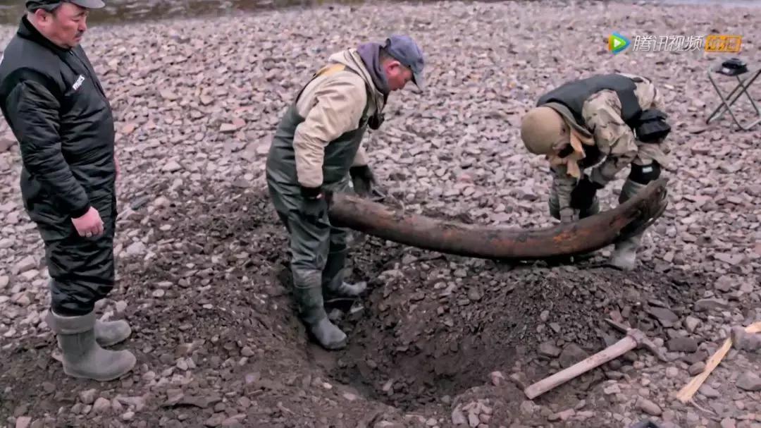 人在逆境要懂得坚持,面对逆境向阳而生