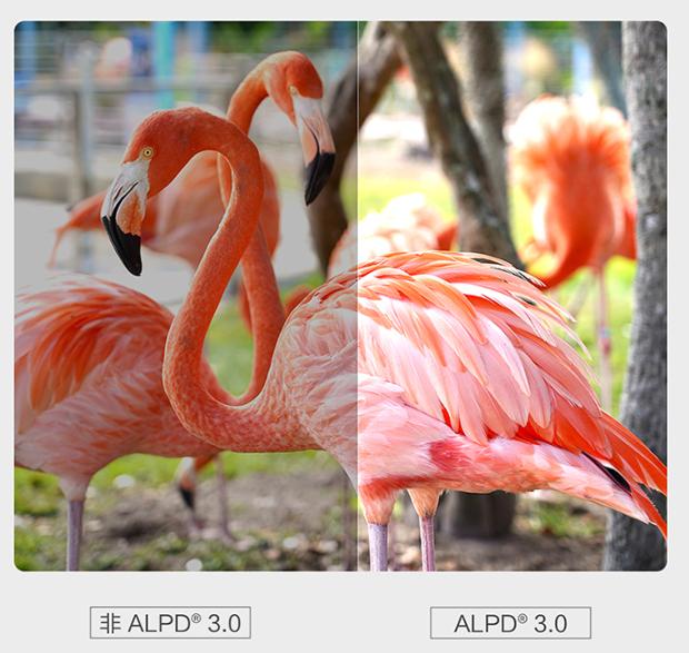 高光“亮”眼！4K画质拉满，超Max体验，科技博主：回不去了