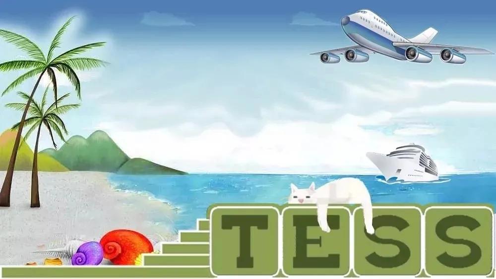 因为运费,200多个高柜出不了,工厂该怎么办?