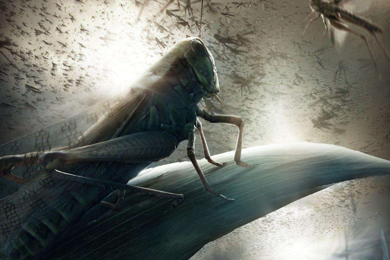 小说三体的伟大之处,三体最伟大的四个人