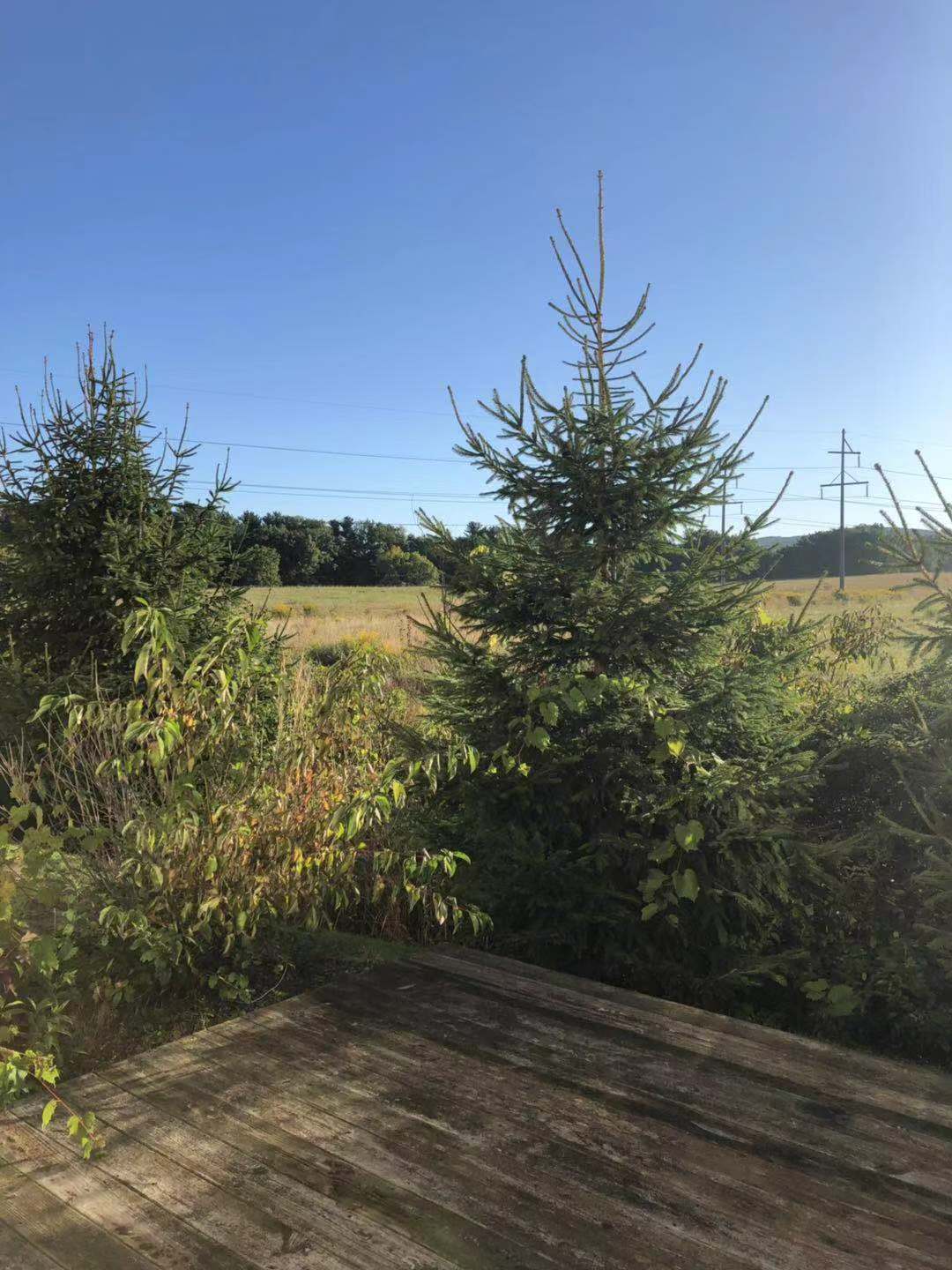 探秘美国康奈尔大学，细数康奈尔的这“几宗最”