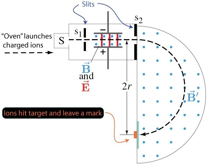 元素家族在线观看,元素家族全放送
