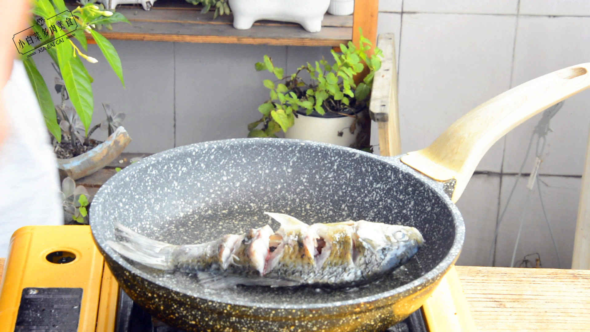 婆婆花5元钱给我买早餐,婆婆花了20块钱煮的水煮鱼